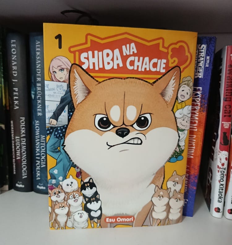 Duch psa i dużo ciepła. „Shiba na chacie” - recenzja mangi