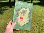 Pod drzewami, gdzie nikt nie widzi. Recenzja