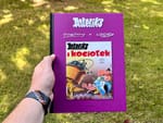 Asteriks i kociołek, czyli historia o kolaboracji i kapitalizmie, okraszona masą humoru