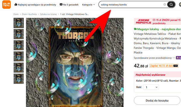 Temu, gadżety komiksowe i polskie prawo. Co grozi za kupowanie podróbek?