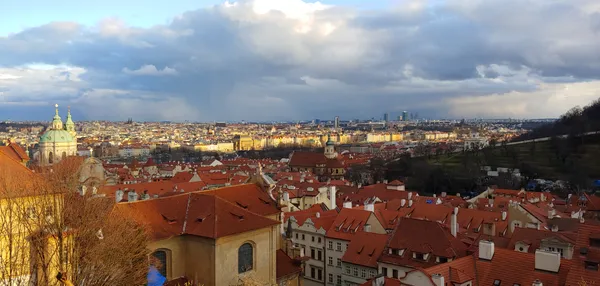 Polscy komiksiarze w Pradze. Svět knihy 2026 ma mocny komiksowy akcent